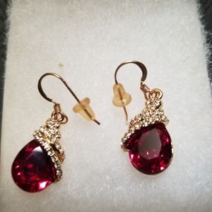 Beautiful Garnet & CZ earrings